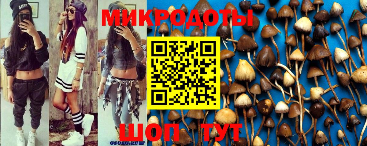 Псилоцибиновые грибы Magic Shrooms  Вход с VPN  Михайловск 