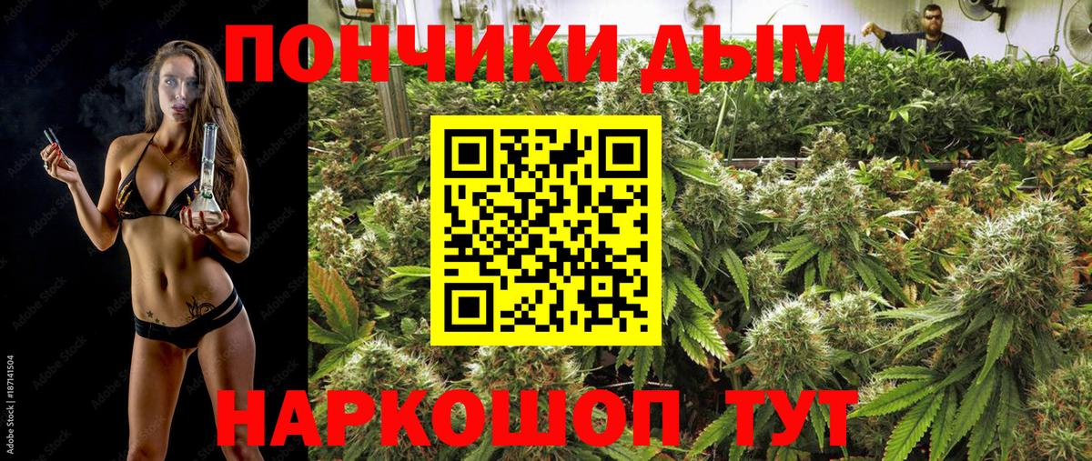 Конопля планчик Михайловск
